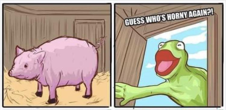 OnlyFrogsx's tweet photo. 11:59 PM New Year's Eve, you get this text...

WYD? https://t.co/jaqg6bQ0a9