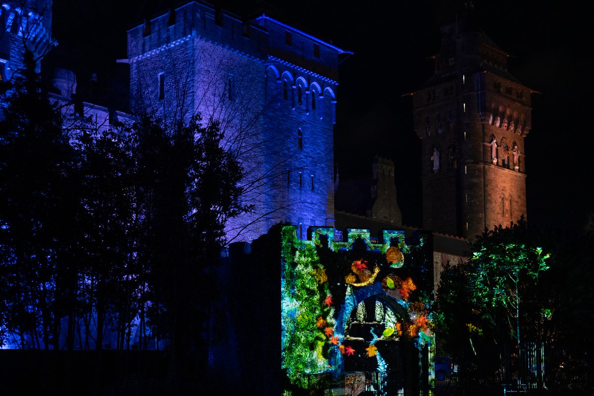 From The Fields tweet media