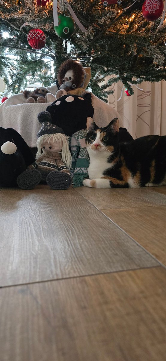 Rubby_Ecktuh's tweet photo. Daily eevee post https://t.co/XFL6Hg3j1k