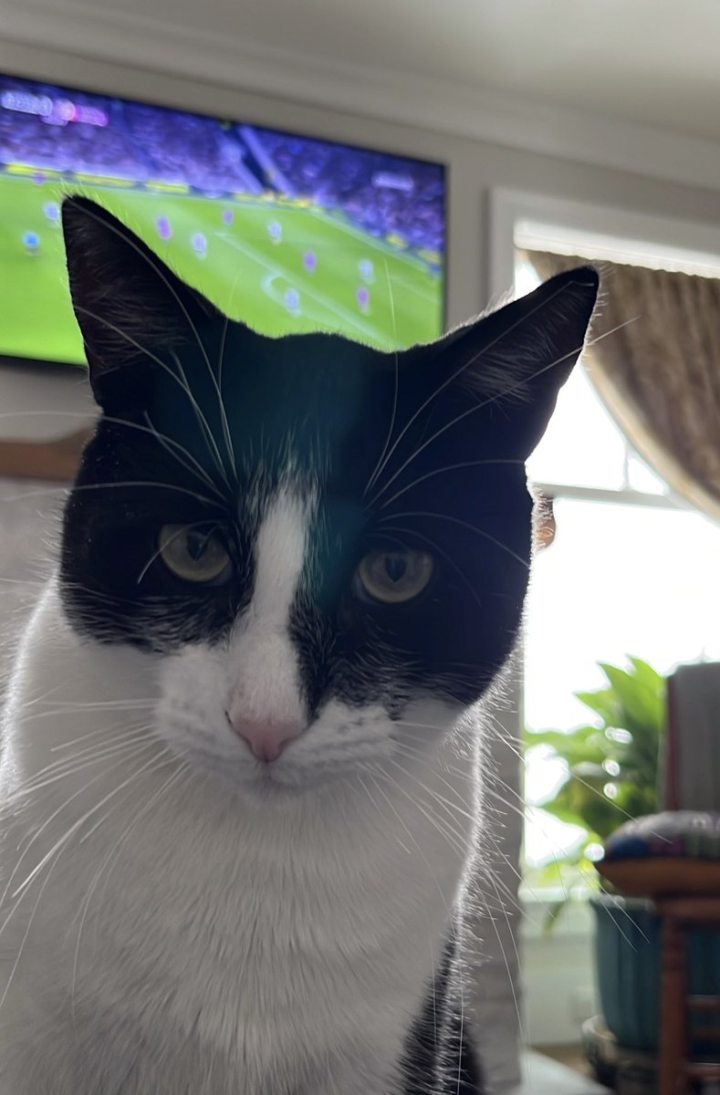 Jeff Cutler tweet media