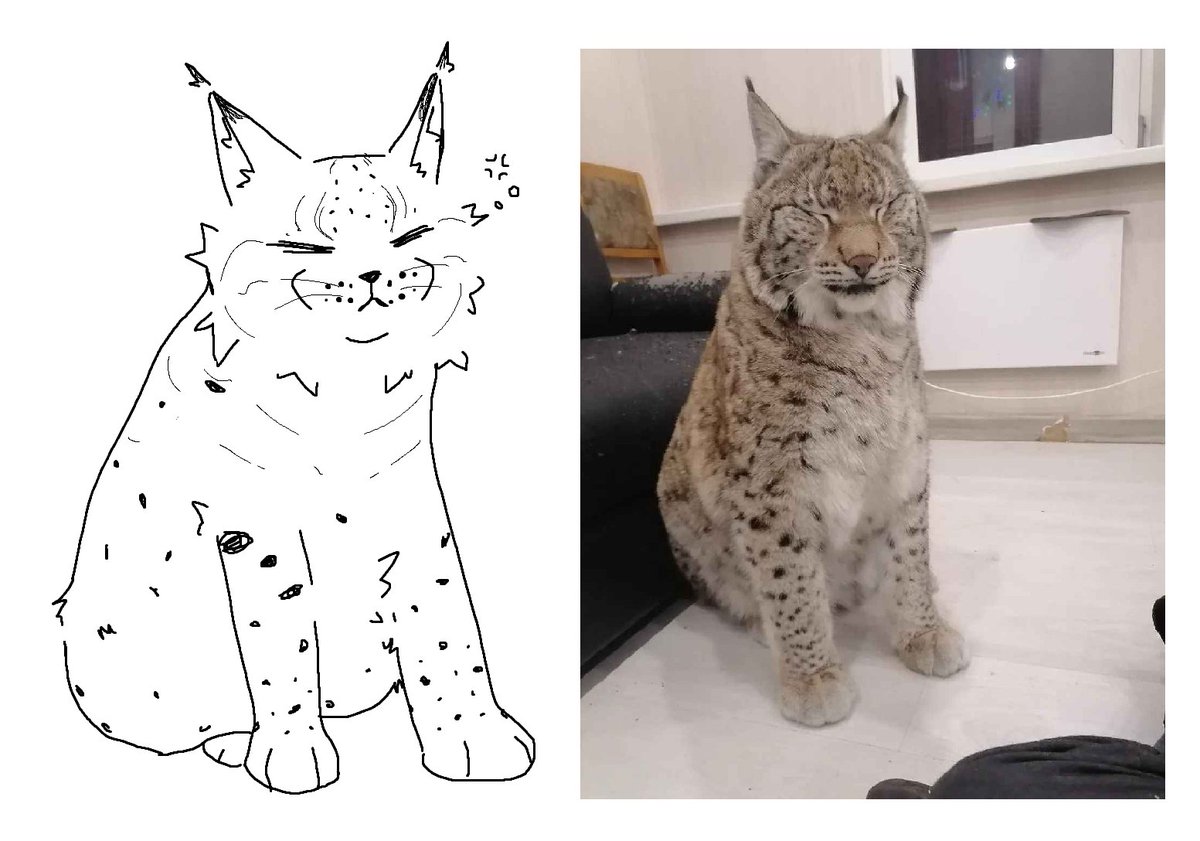 my artistic rendition of this cat
