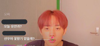 ssunwooya0's tweet photo. 킁킁슨 https://t.co/psf3FmivZw