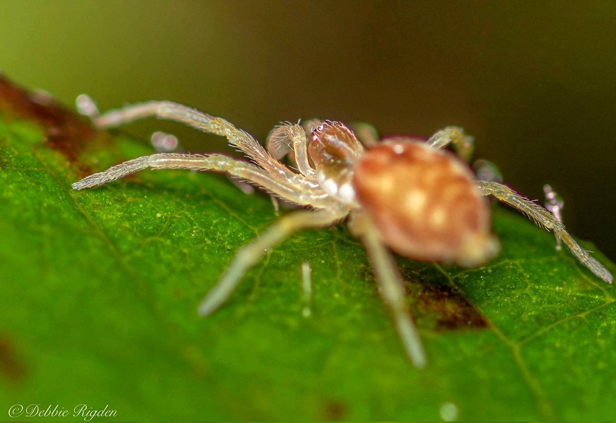 Debbie Rigden tweet media