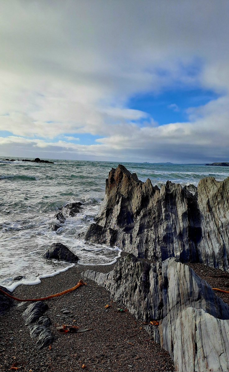 Eilish Sutton tweet media