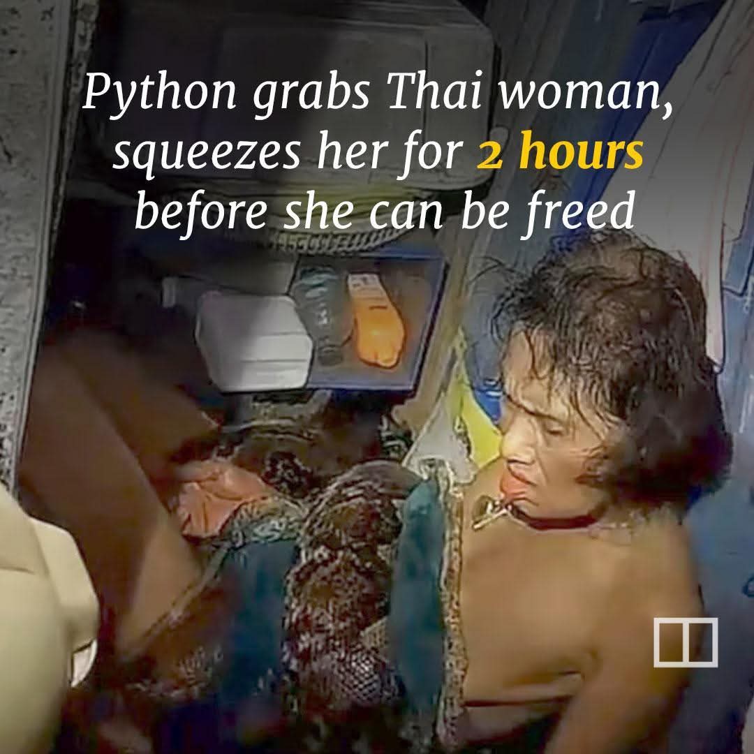 Most read of 2024: “I grabbed it by the head, but it wouldn’t release me,” she said. “It only tightened.”

(Link in comments)

This article was first published in September 2024.