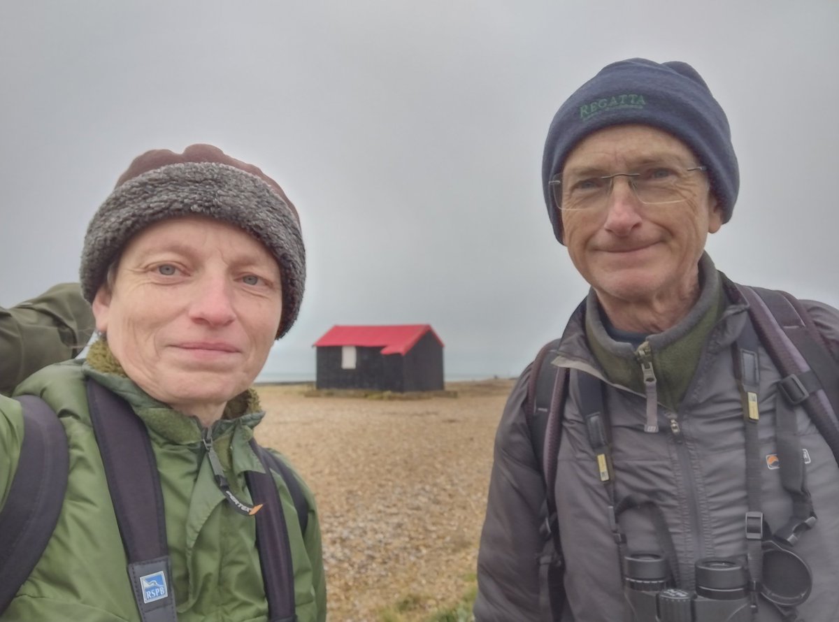 Debbie Alston tweet media