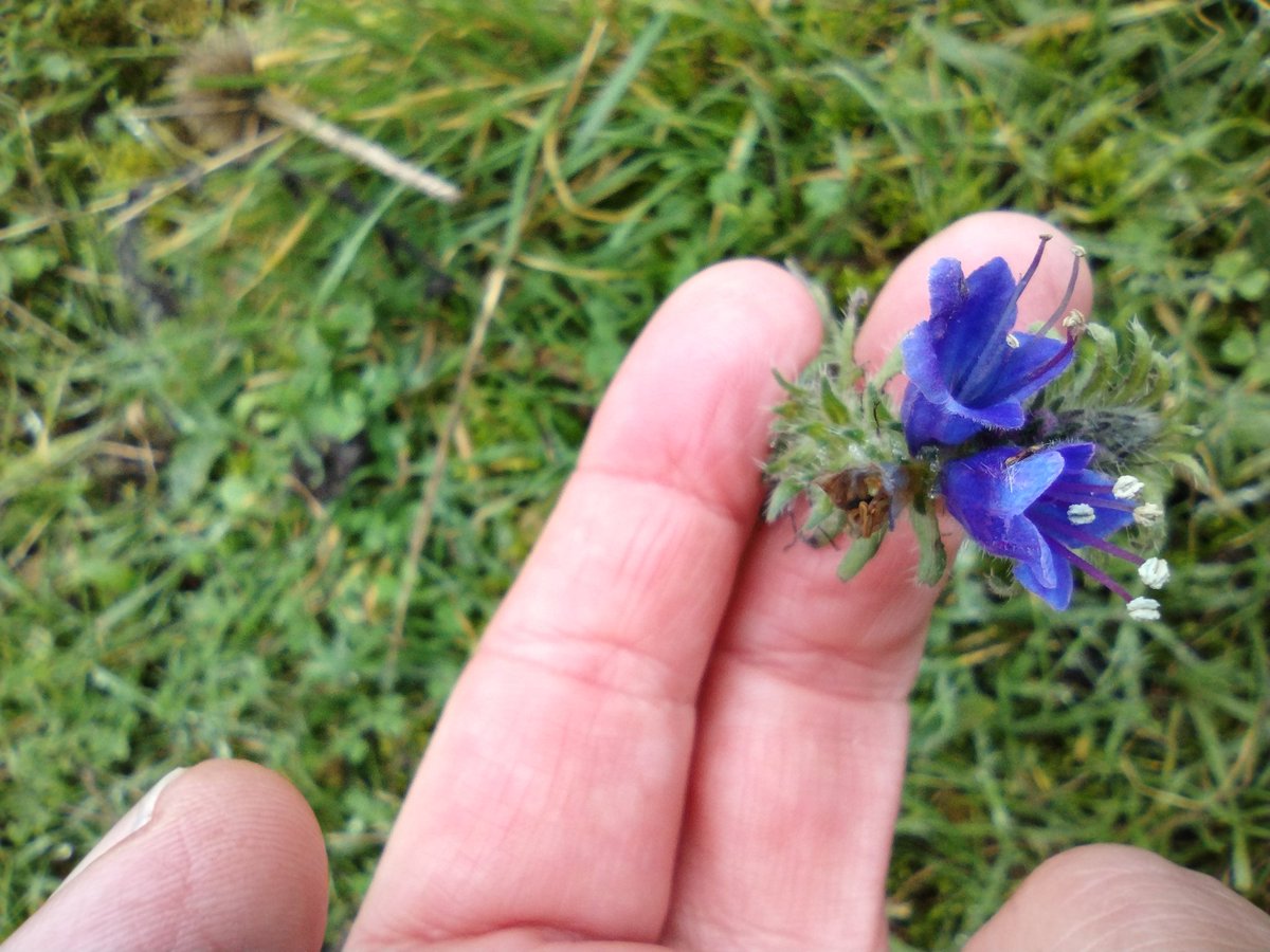 Debbie Alston tweet media