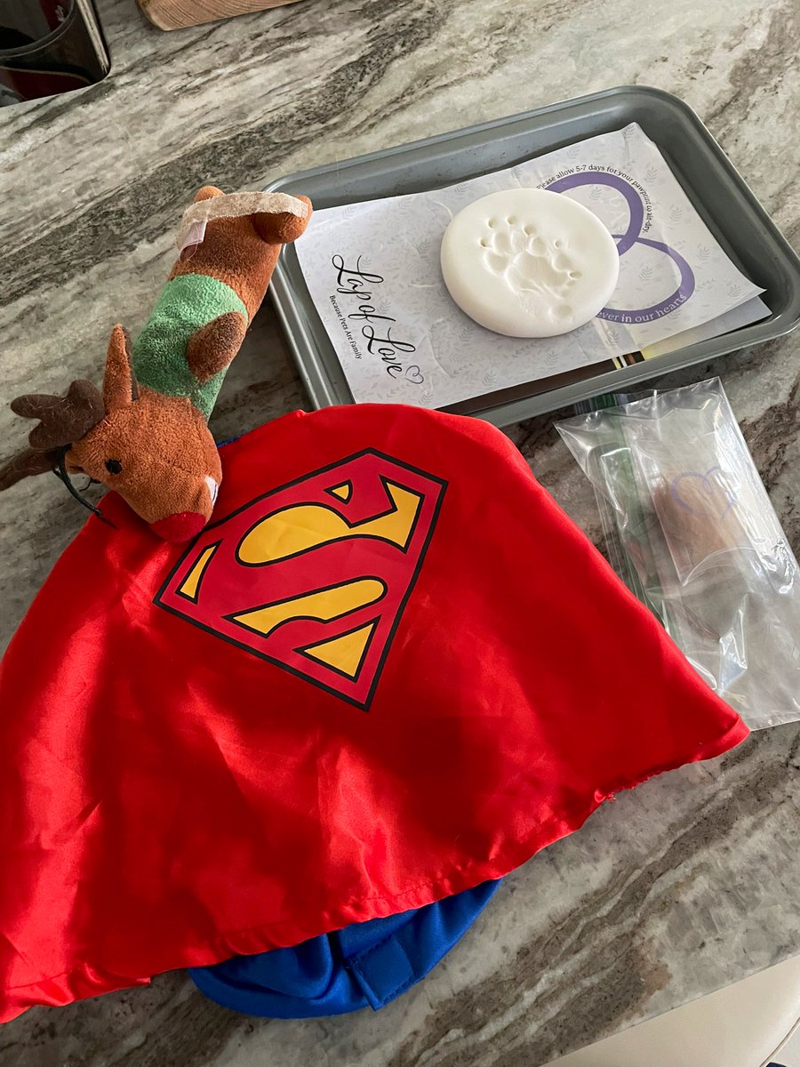 joshuarhicks's tweet image. Sleep now, our sweet prince. 🐾💔

Rest In Peace, Dexter (@DexDoxJax)
(October 31, 2010 - December 26, 2024)

Dexter crossed the 🌈 bridge at home on Thursday. Words can’t describe the grief we are feeling. He was our best friend. He’s at peace. Daddies love you, Dexy. Always. ❤️