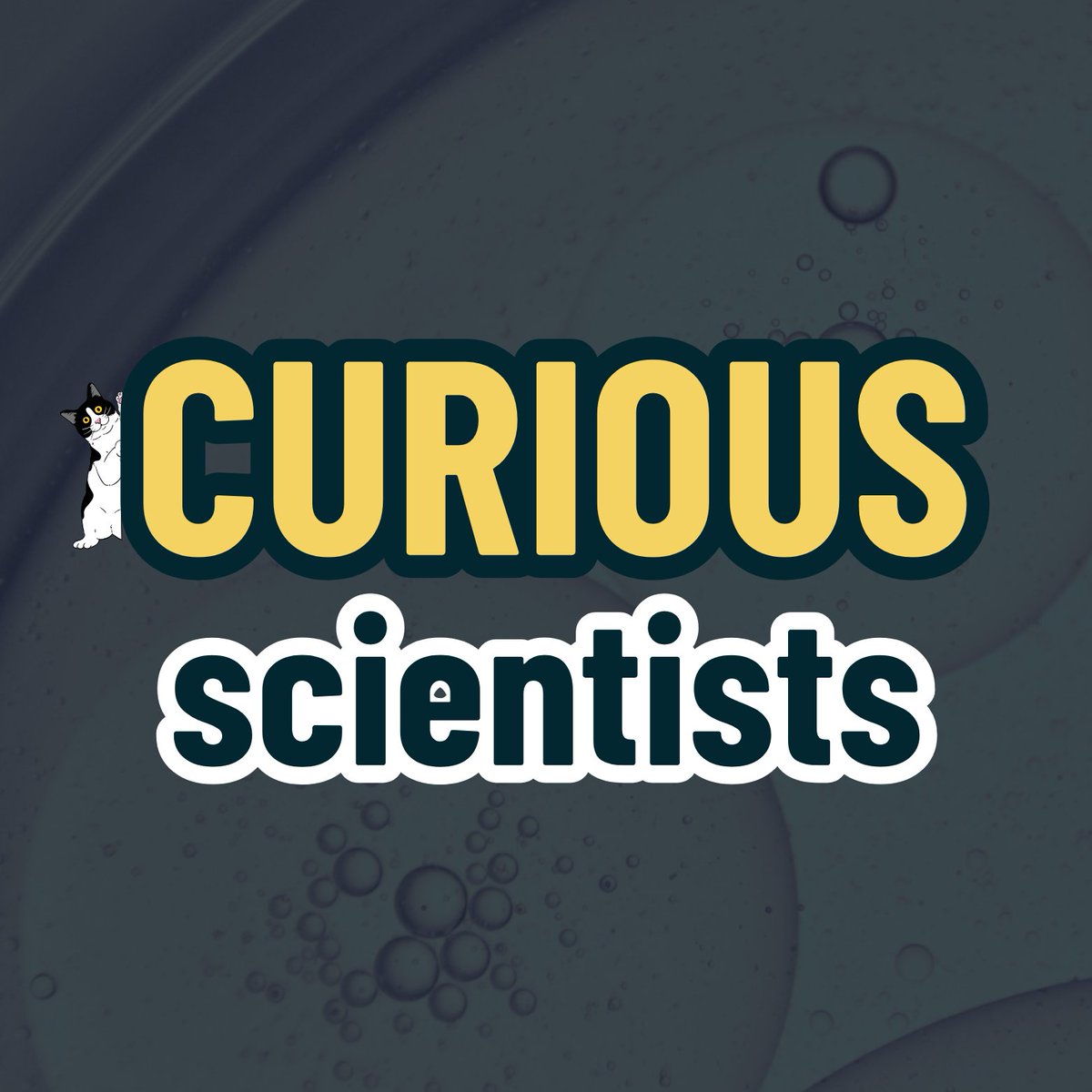 Cuvette Collective tweet media