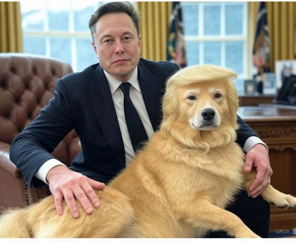 LessMex's tweet image. How did @elonmusk and @realDonaldTrump already get into the Oval Office? #GOPPEDOPHILES #TrumpIsUnfitForOffice