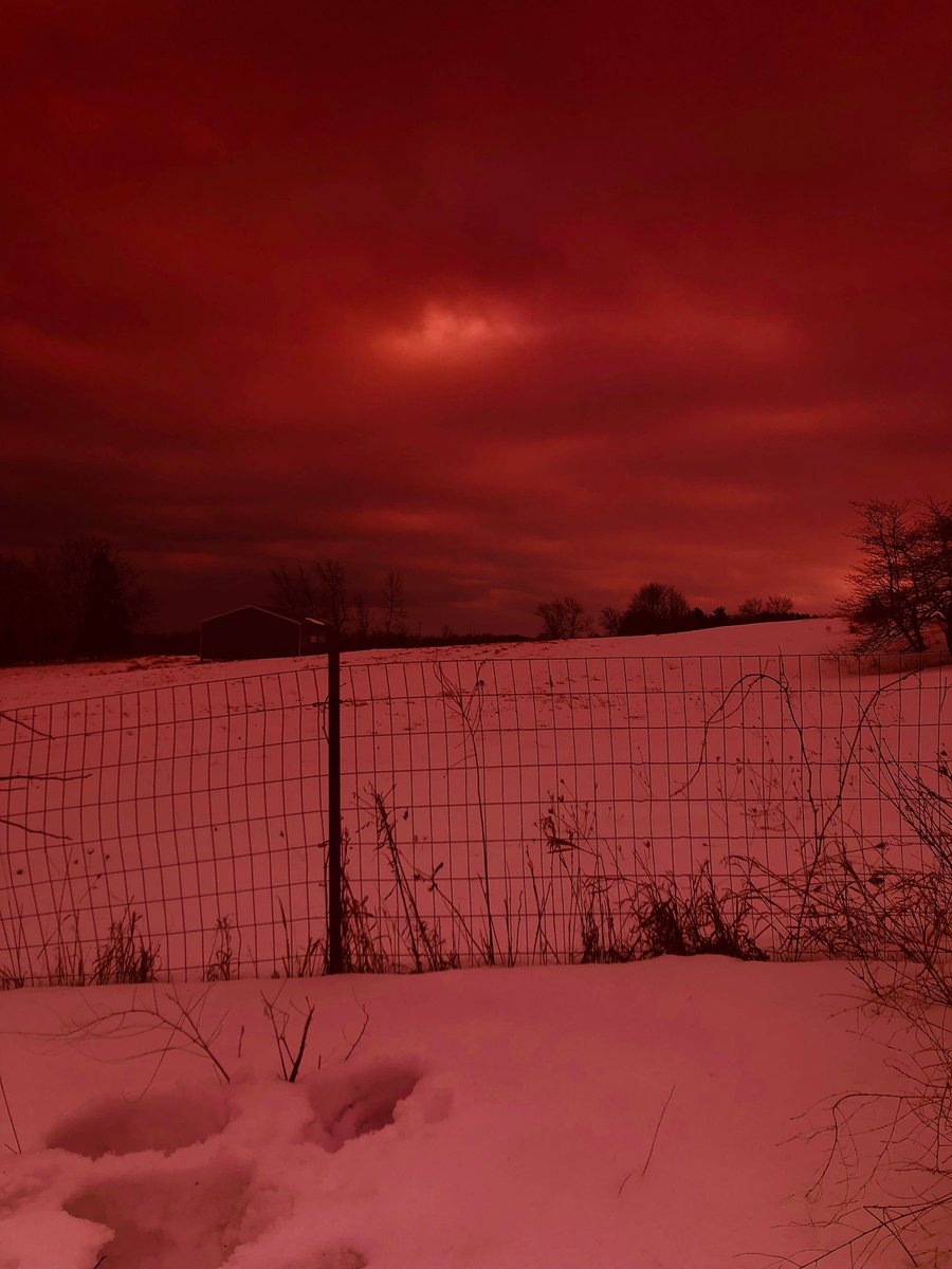 hakaelll's tweet image. 