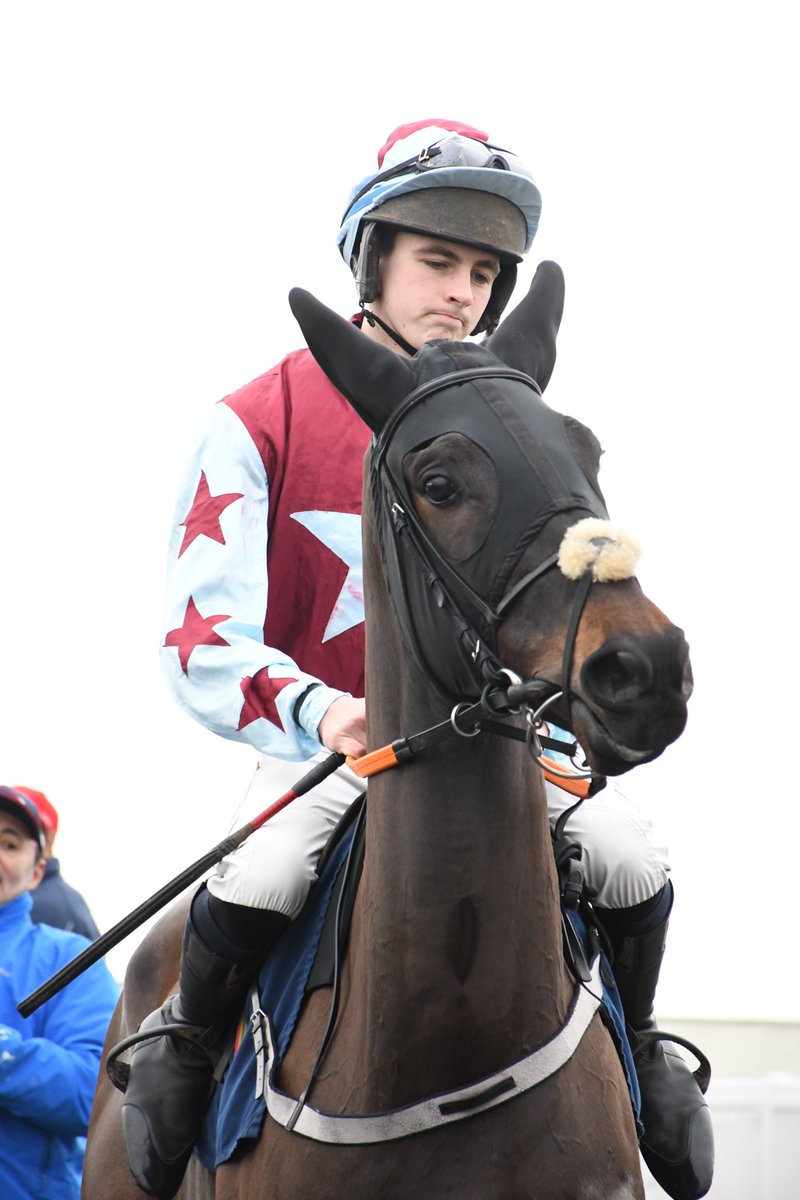 PCequinephotography tweet media