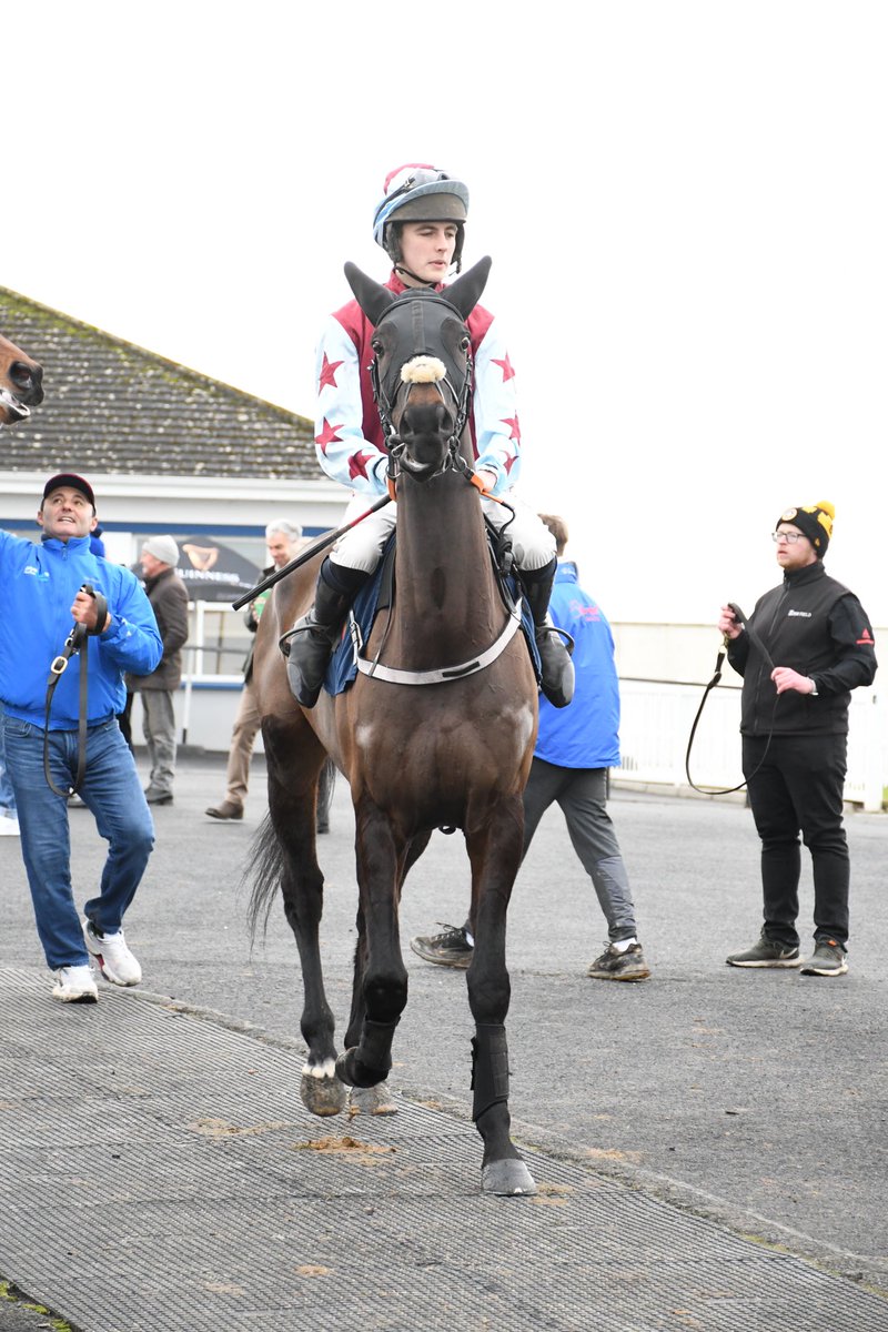 Solsbury Hill trained by <a href="/codwyerracing/">Conor O’Dwyer Racing</a>  Limerick 29/12/24