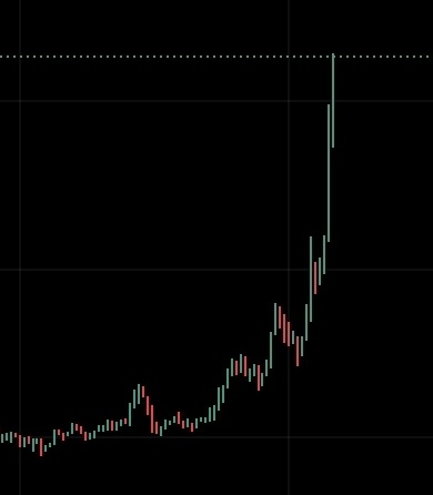 $SHIB KNIGHT tweet media