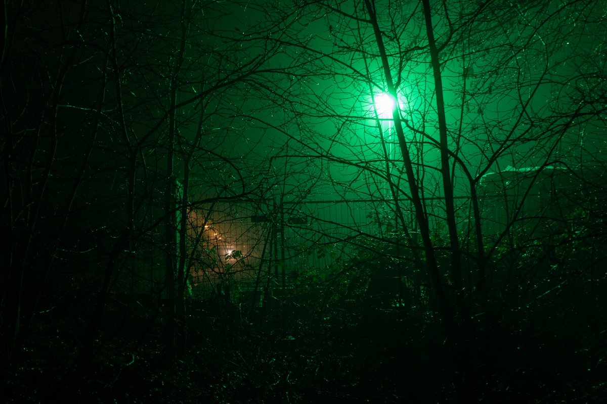 a green and foggy night.