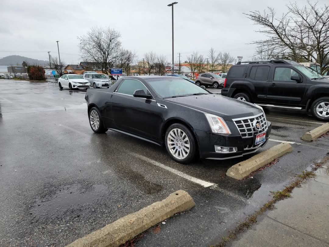 Bella ΘΔ🏳️⚧️ tweet media