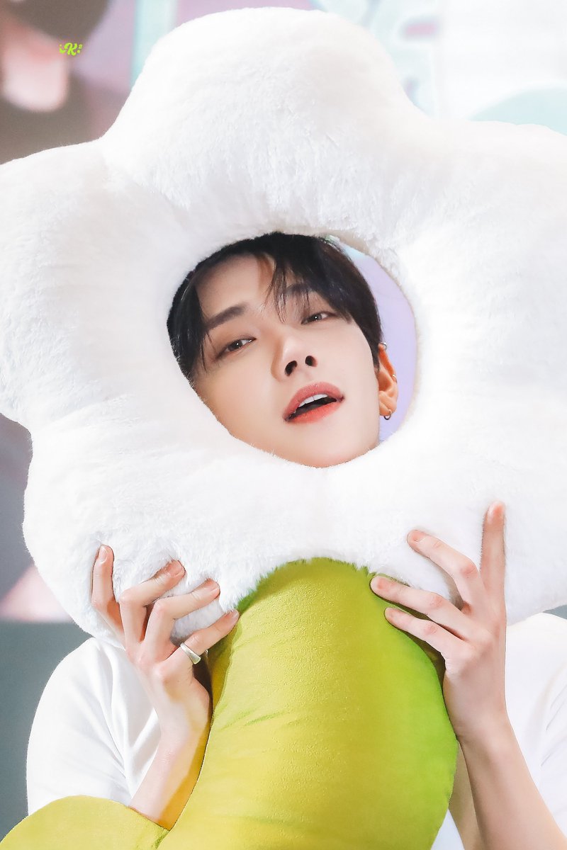 K2_1230_'s tweet photo. 241229 🌻

#조슈아 #홍지수
#ジョシュア #JOSHUA 
#세븐틴 #SEVENTEEN

HD 🔗：https://t.co/4T2jxx3fD4 https://t.co/1DDlLg6Pe3