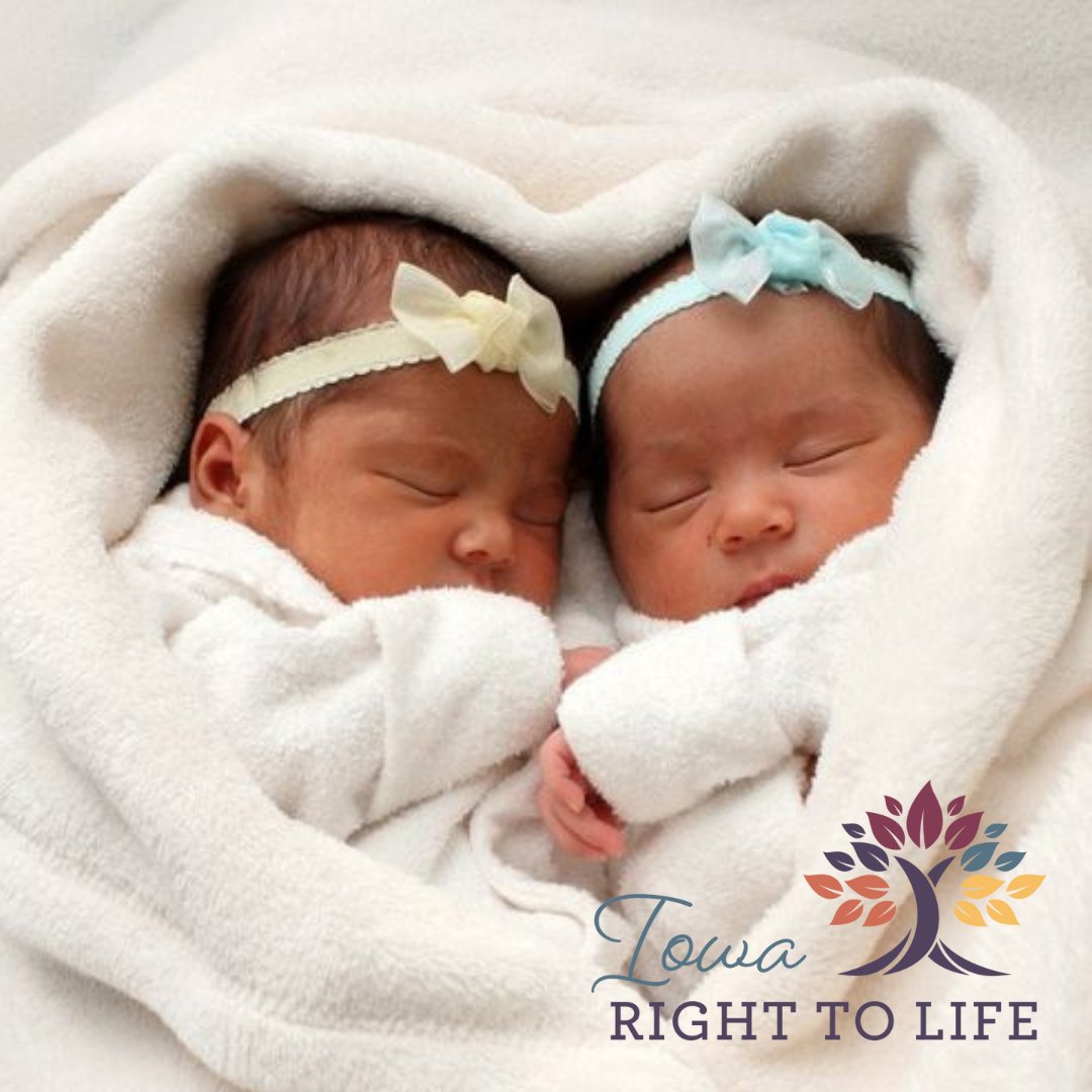 IowaRTL's tweet photo. Every life, no matter how small, carries infinite potential and value. Let's champion a culture that nurtures, supports, and values each unique heartbeat. 💓 #ProLife #ValueEveryLife https://t.co/6JO6gb5vo6