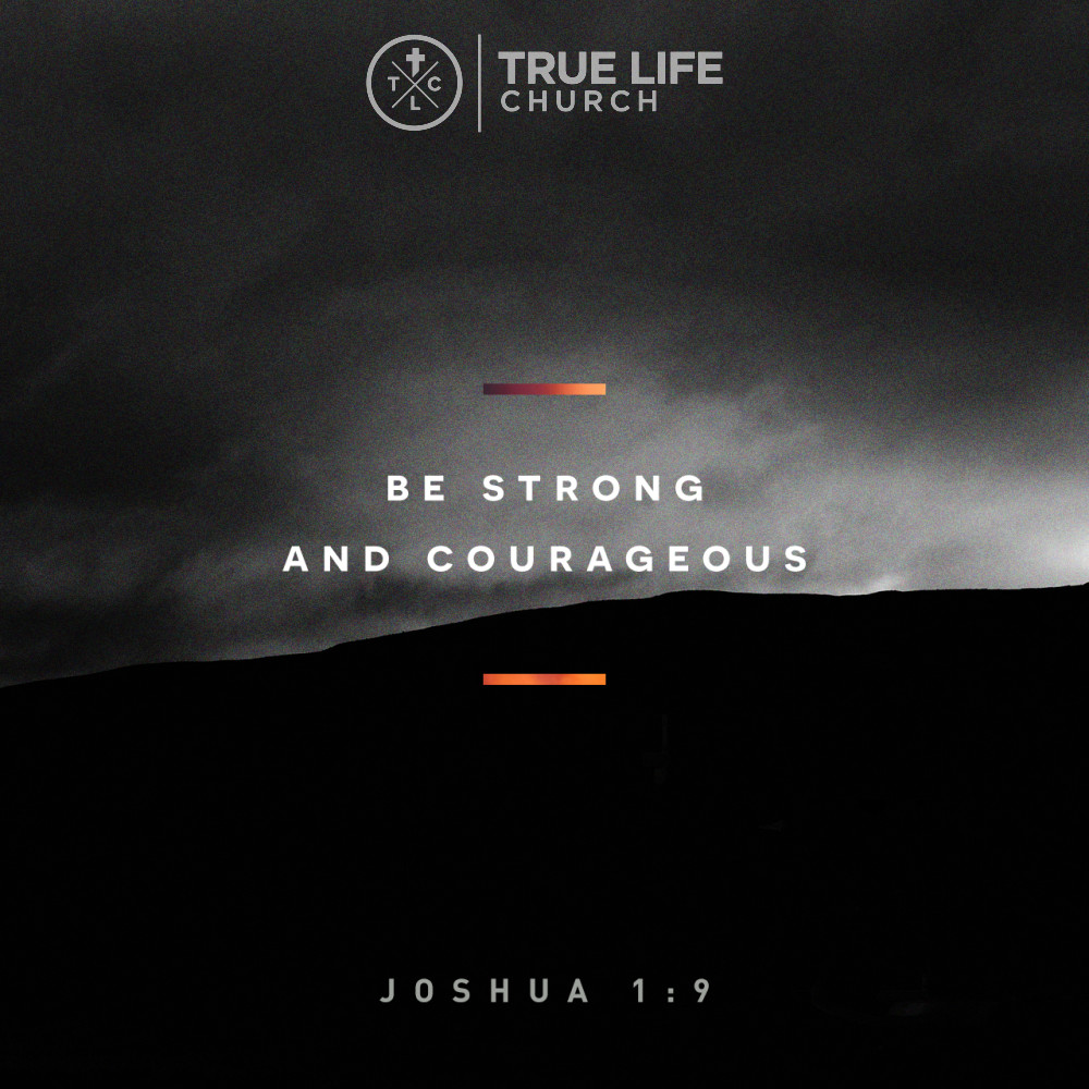 FindTrueLifeCC's tweet image. 