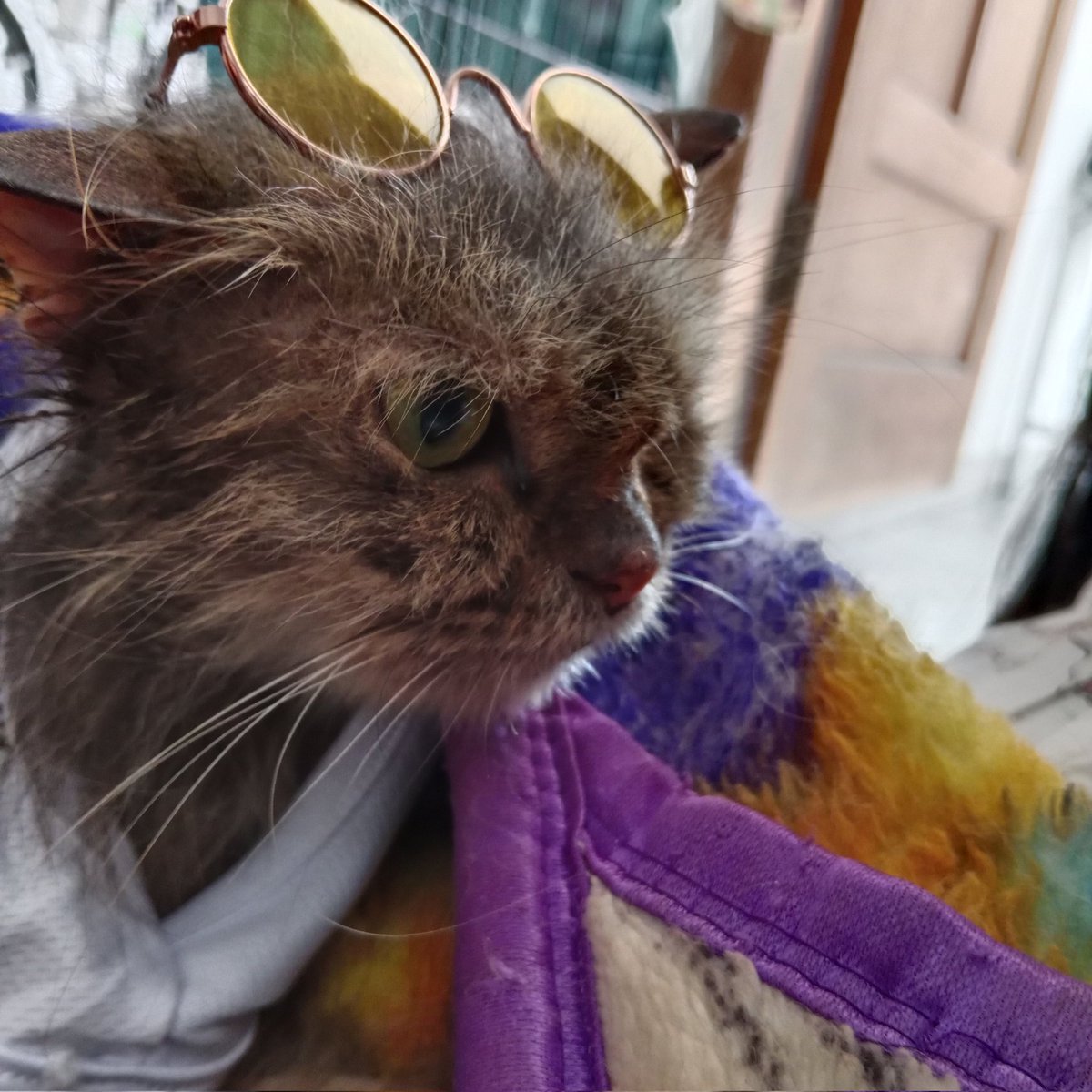 Yang habis mandi yo langsung bergaya Reemiya