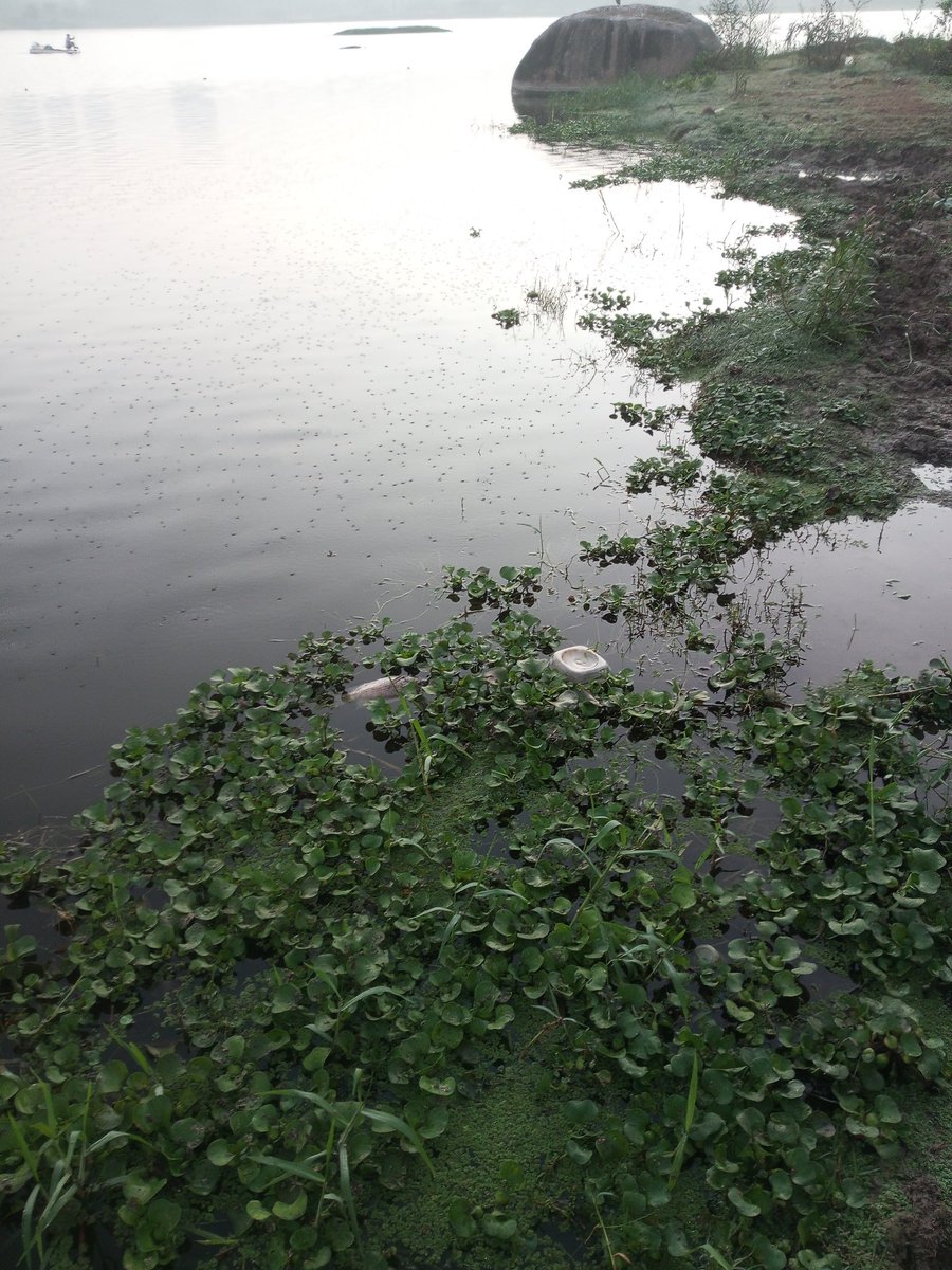 Anshuman Panda | ଅଂଶୁମାନ ପଣ୍ଡା tweet media