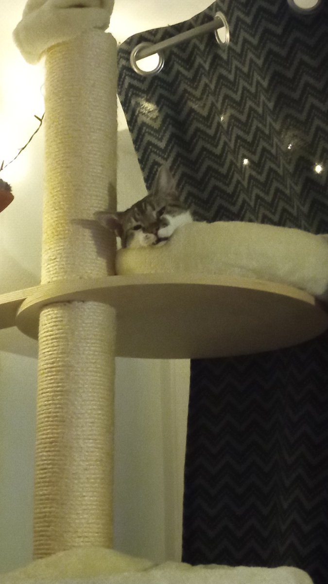 co się kurwa patrzysz d-___-b