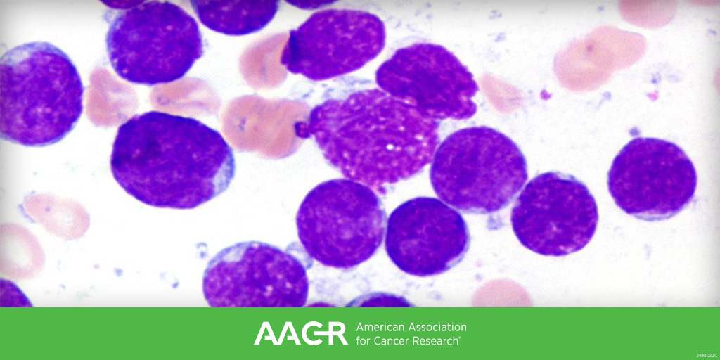 Submit an abstract by December 30 for the AACR Special Conference on Acute Lymphoblastic Leukemia (March 7-9, San Diego), organized in association with the AACR Hematologic Malignancies Working Group. Learn more:
aacr.org/meeting/aacr-s…
#aacrALL25