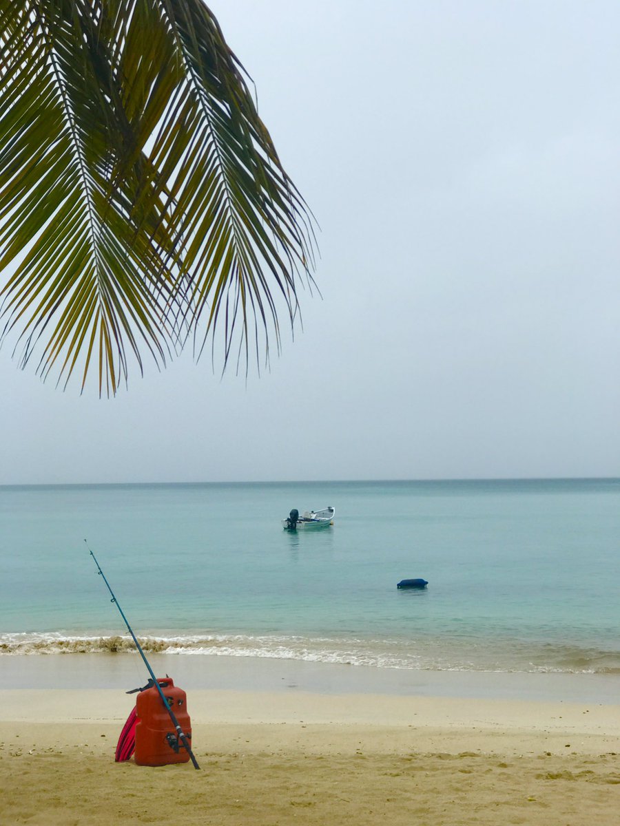 Just waking up from a long hibernation …. Watch the space #world