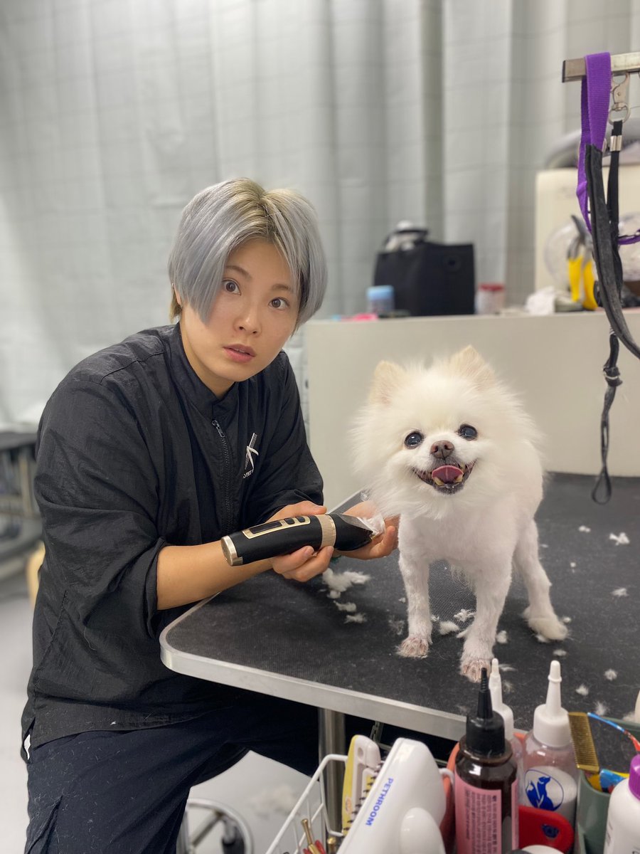 강은미 유독
너는 무슨 헤어지자는 말을 강아지미용할때 하니<사진이 많은거 진차 웃기고 귀여운포인트야..