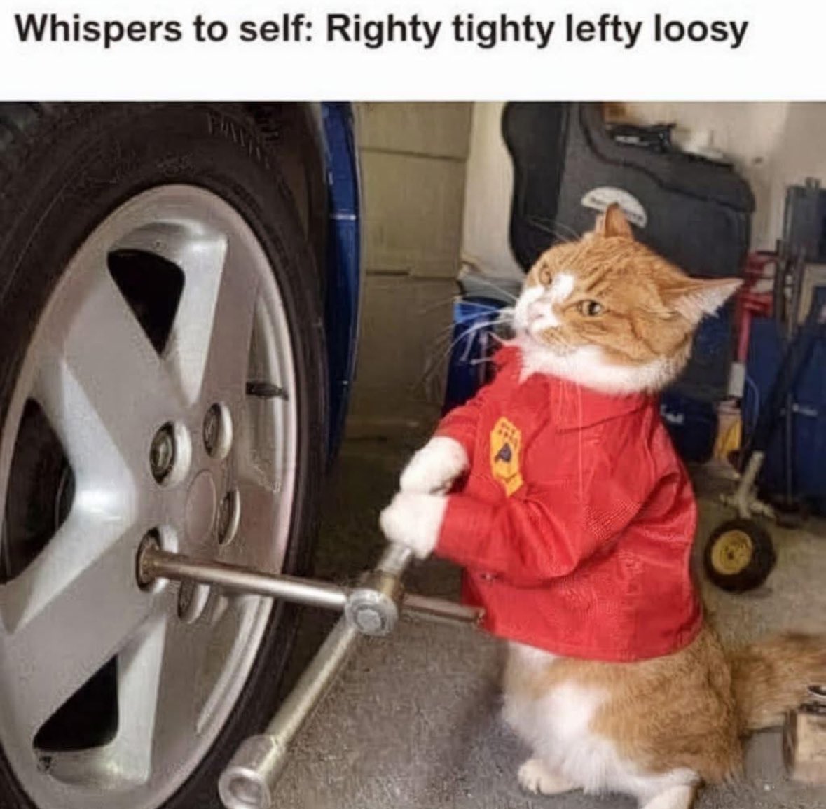 RespectfulMemes's tweet photo. https://t.co/7W7GzRvO5p