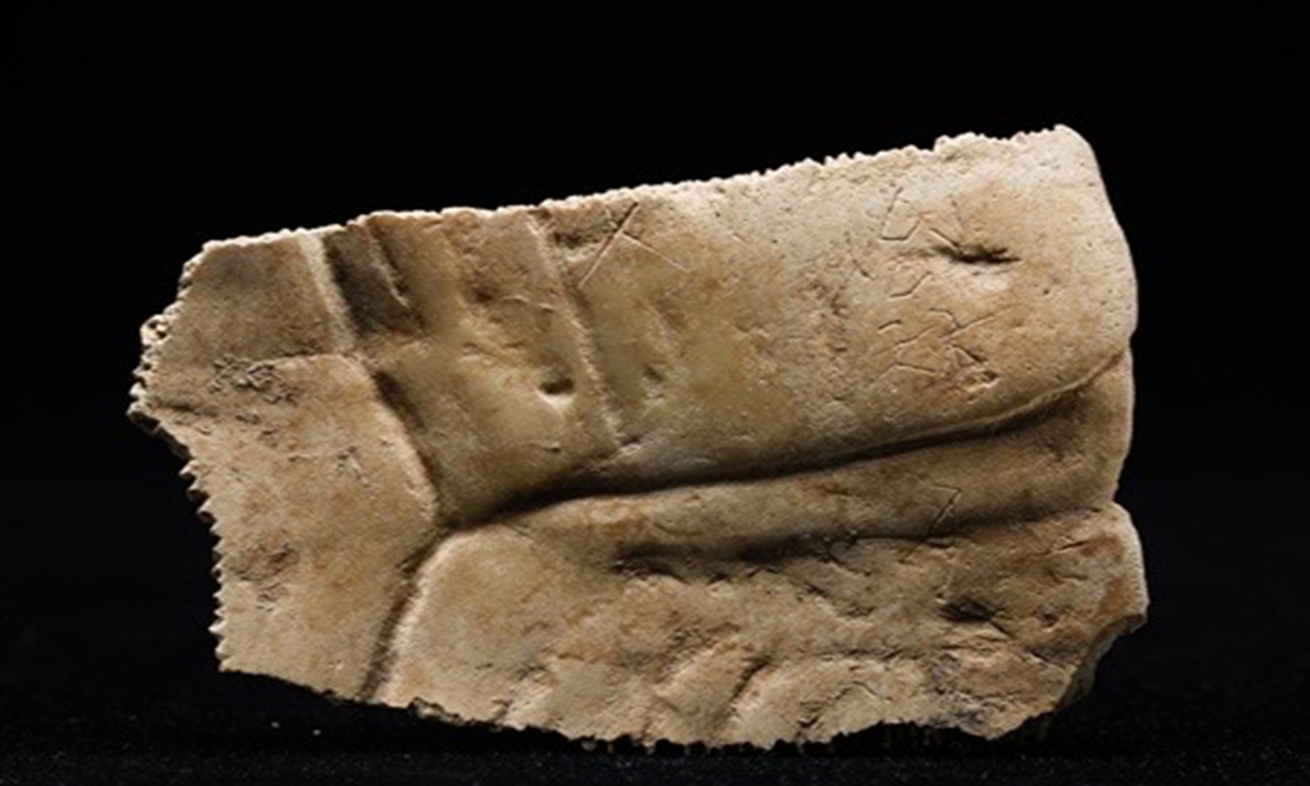 globaltimesnews's tweet photo. Chinese archaeologists have uncovered a well-preserved rammed-earth architectural complex at the Zhouyuan site in Baoji, Northwest China's Shaanxi Province, which consists of three successive city walls - the palace city, the main city, and secondary city walls - from the Western Zhou ­Dynasty (1046BC-771BC). 
https://t.co/FlBbvEc4gU