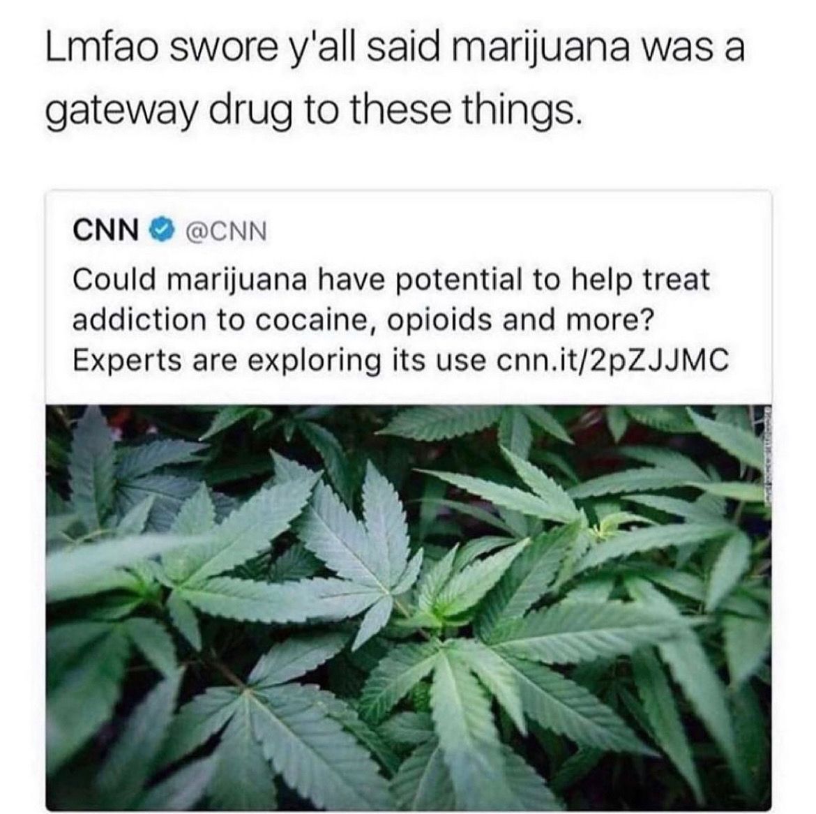 Weed Porn (@weedporns) on Twitter photo  Weed Porn (@weedporns) on Twitter photo