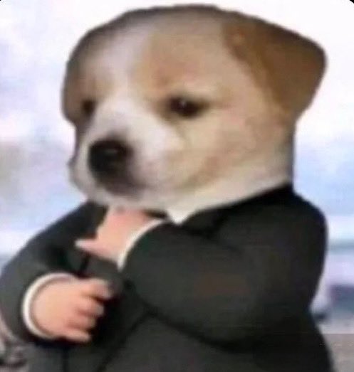 <a href="/kryptobaby777/">kb (lil florida)</a> <a href="/_gvan/">gvan</a> <a href="/kingloui/"></a> where all your dreams come true, the world is painted with colors of infinite possibilities

GMONAD <a href="/avengersdao/">Avengersdao| base.eth</a>