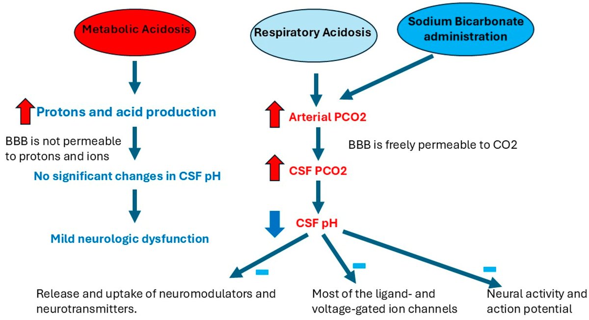 Clinical Implications of Sodium Bicarbonate Administration in ICU

CCR Journal Watch

criticalcarereviews.com/latest-evidenc…

Get the latest critical care literature every weekend via the CCR Newsletter - subscribe at criticalcarereviews.com/newsletters/su…