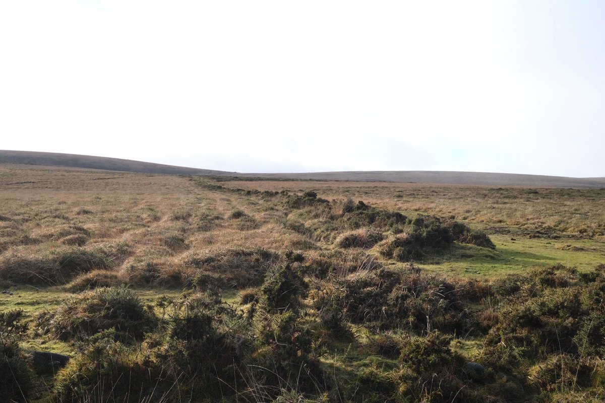 MichaelJecks's tweet photo. Lovely 7.5 mile wander on the moors - foggy in parts, chilly, damp when I wanted to paint, so the painting will have to wait! Good site for a coffee and chocolate bun, too!
#outin #outinnano #coffeemaker #espressomachine https://t.co/AECWde1lqr