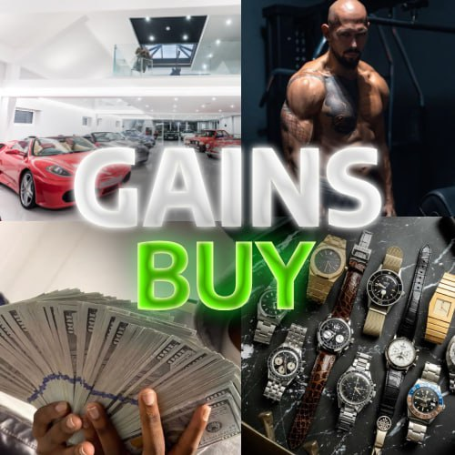 GainsCTO's tweet photo. New Buy media for our Telegram.

Team is non-stop grinding.

$GAINS https://t.co/AxvSGn7Qns