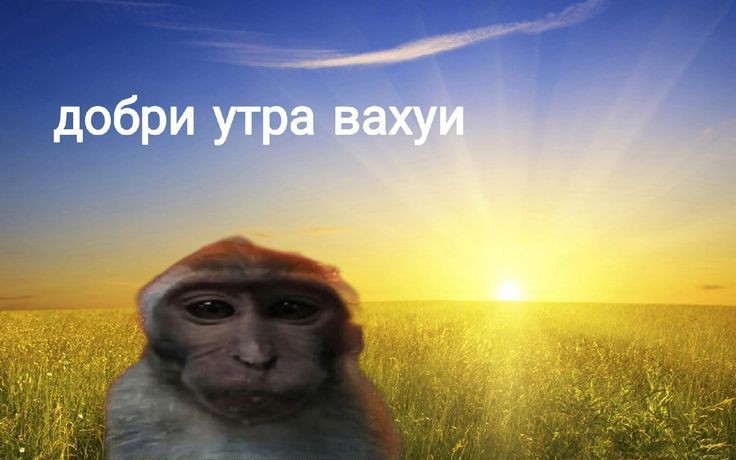 JAAYYU (@teslndixx) on Twitter photo 