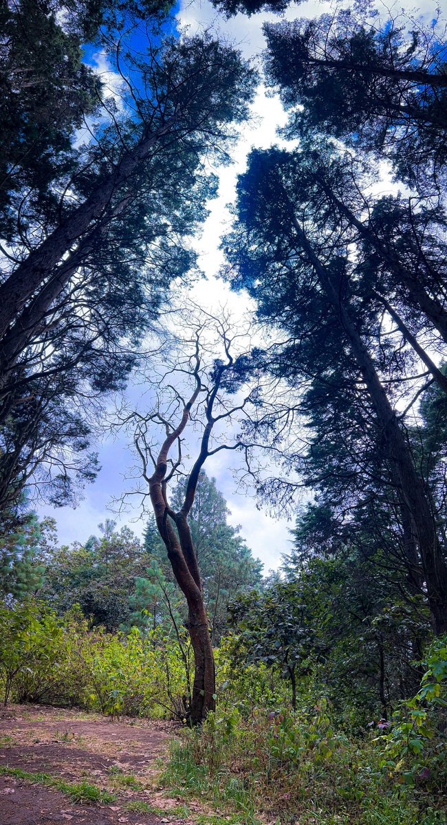 #hikingadventures