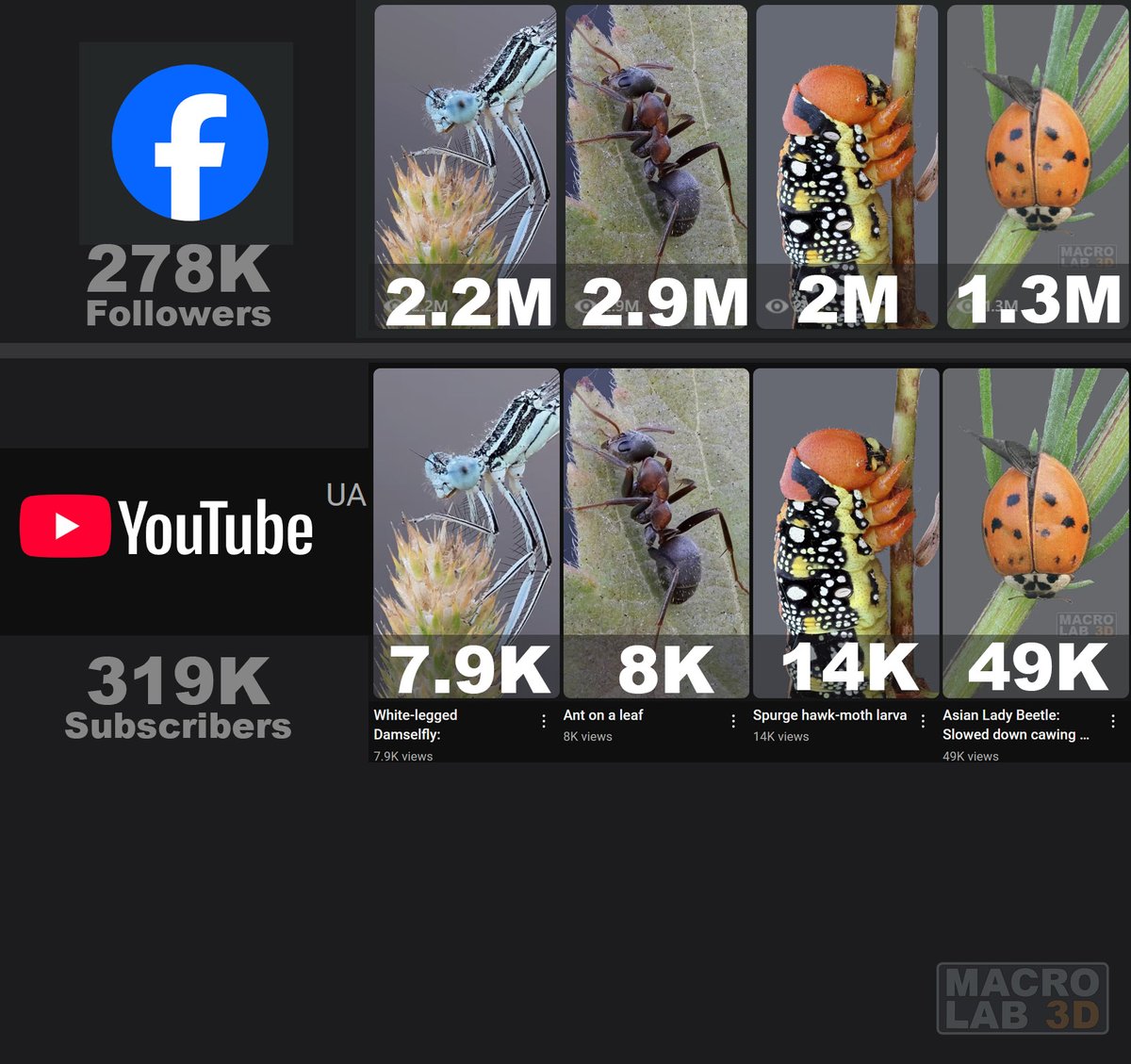 MacroLab3D's tweet image. YouTube support says it is perfectly normal. 
Join my Patreon to save the channel from a slow death.