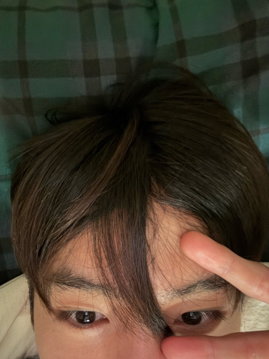 nekuma tweet media
