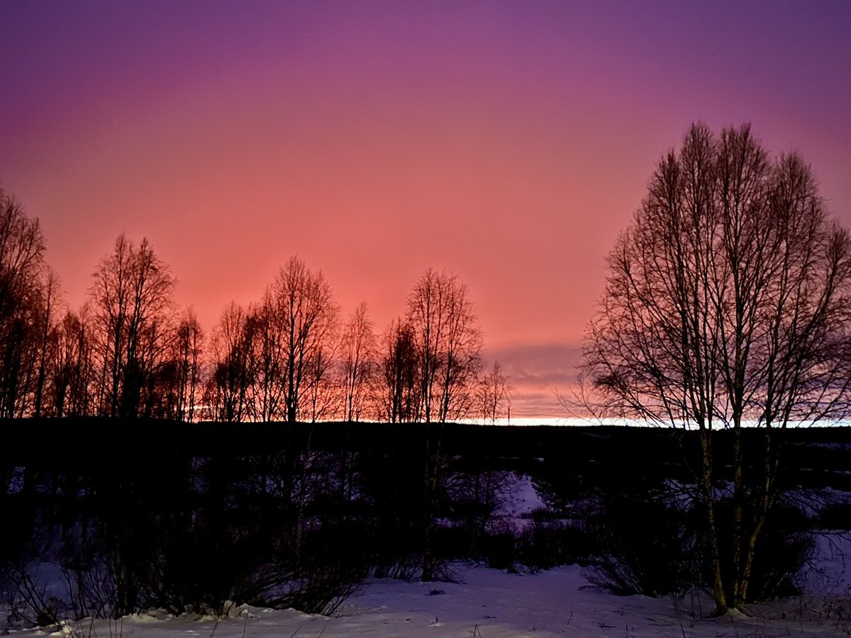 SannaJaas's tweet photo. Suomi etelästä pohjoiseen tänään pelkkää harmautta ja hämärää.
Saman päivän ilta Ruotsin puolella👇
#Torniojoki https://t.co/JgaVMnPz2y
