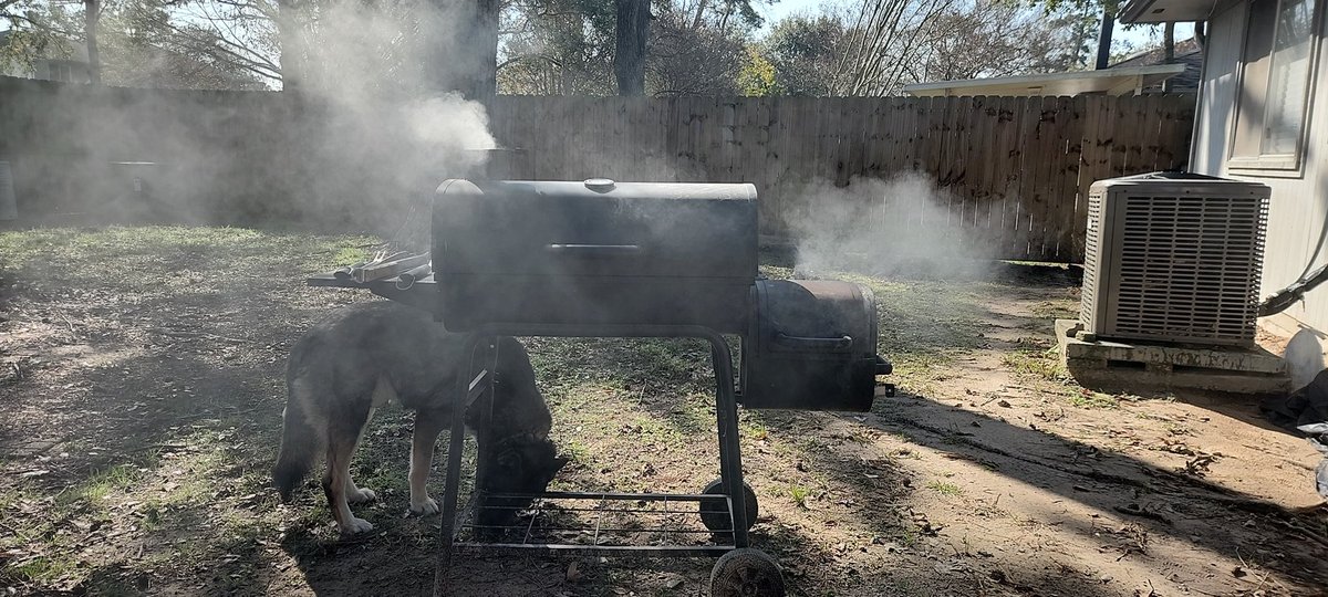 MangledDigits's tweet image. Mangled Digits Christmas BBQ!