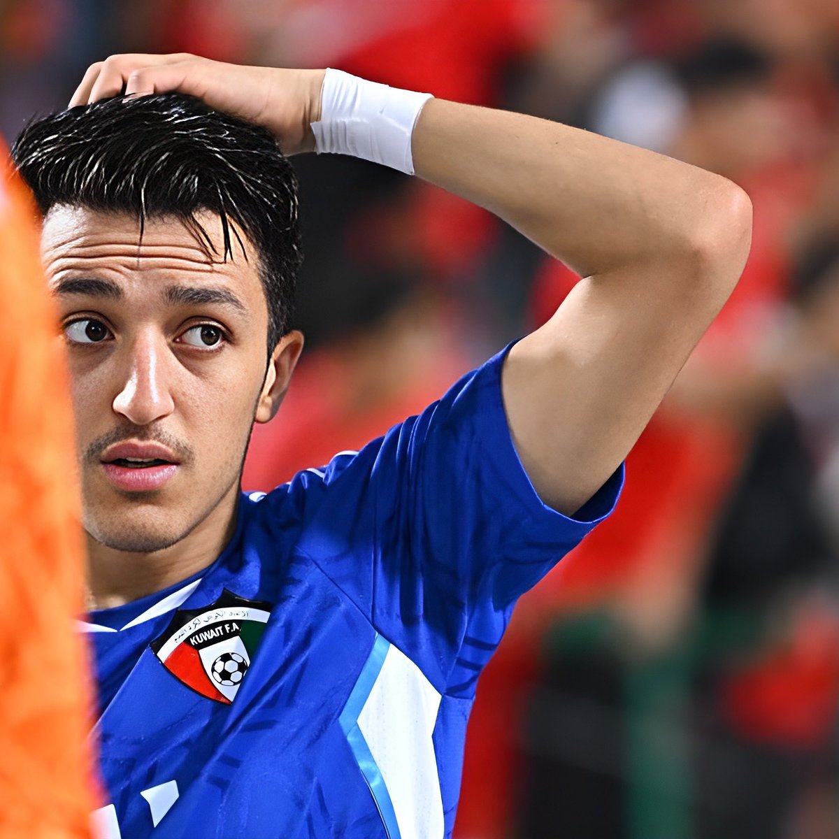 قال عنترة بن شداد:

يُنادونَني في السِلمِ يا اِبنَ زَبيبَةٍ
وَعِندَ صِدامِ الخَيلِ يا اِبنَ الأَطايِبِ