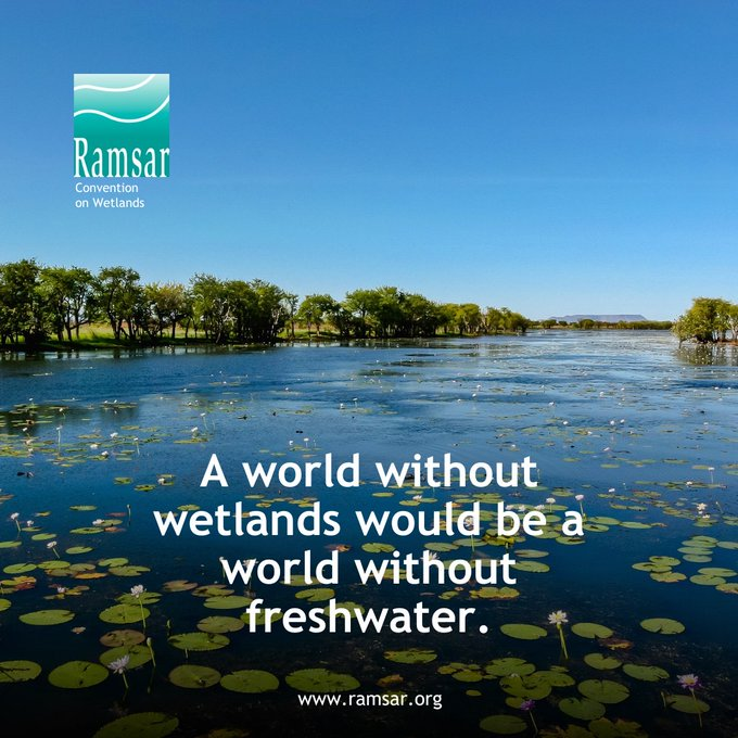 UNBiodiversity's tweet photo. Healthy wetlands are essential for:

💧 Clean drinking water
🌿 Nutrients for fertile fields
🐟 Freshwater fish that feed millions
🏝️ Sediment that keeps deltas above rising seas

via @RamsarConv https://t.co/PyWQUXgnB6