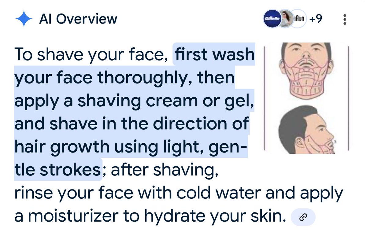 GooseNibble's tweet image. Found it. The complete guide to shaving your face, according to google. #researchisfun 😂🪒