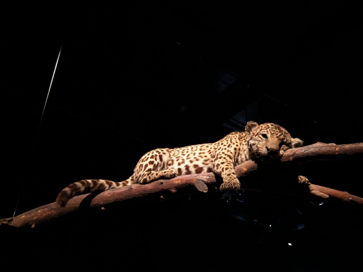 glup shittensis θ∆🔞 tweet media