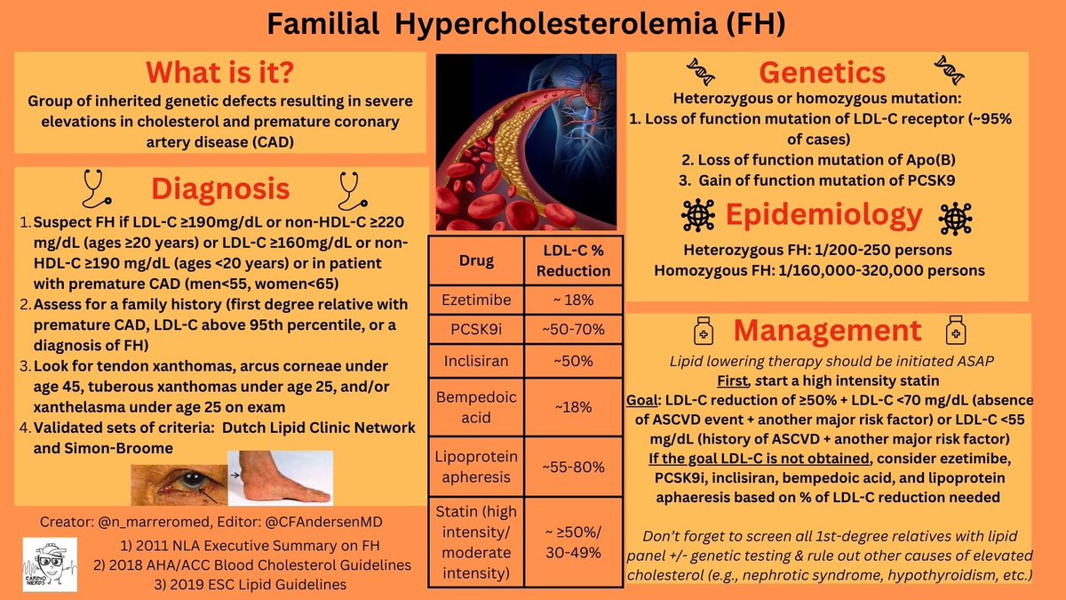 Natalie Marrero (@n_marreromed) on Twitter photo Check out our latest infographic on familial hypercholesterolemia❕
Learn all about:
🔸Epidemiology & Genetics
🔸Diagnosis
🔸Management
<a href="/CardioNerds/">CardioNerds</a> Check out our latest infographic on familial hypercholesterolemia❕
Learn all about:
🔸Epidemiology & Genetics
🔸Diagnosis
🔸Management
<a href="/CardioNerds/">CardioNerds</a>