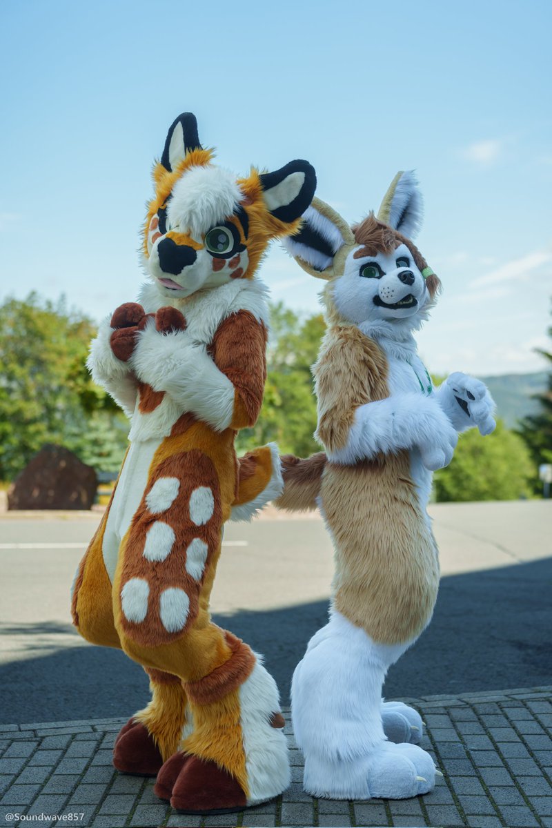 Nub tail? 👀 

#FursuitFriday
📸: <a href="/Soundwave857/">Soundwave 📸</a>
FenFen: <a href="/kurasaiyaArt/">Seikan</a>