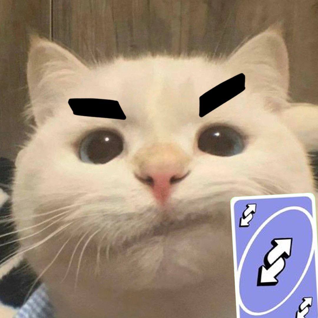 Bruh (@bruh_ctox) on Twitter photo 