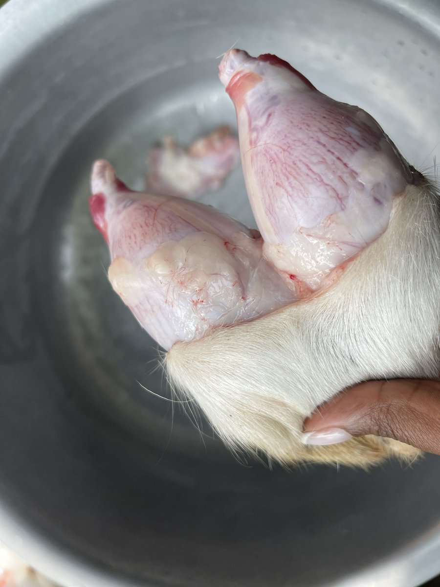 The real meat 🤩🤩